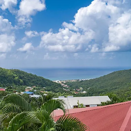 Villa Palmier rouge : 3 ch, piscine à débordement, vue mer et végétation-2