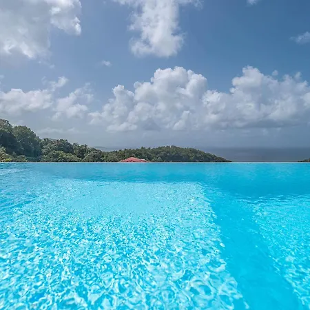 Villa Palmier rouge : 3 ch, piscine à débordement, vue mer et végétation-3